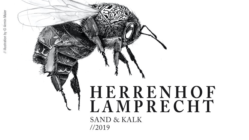 Herrenhof LamprechtPinot Blanc Sand & Lime 2021