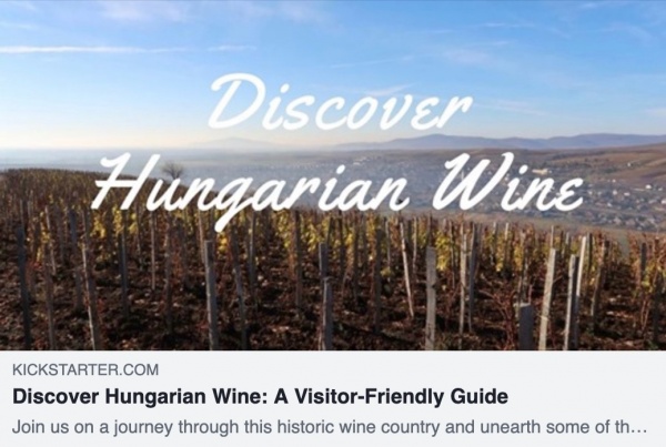 Discover Hungarian Wine: A Visitor-Friendly Guide