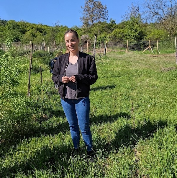 Disorderly Wines of a Hungarian Girl at the Ukrainian Border