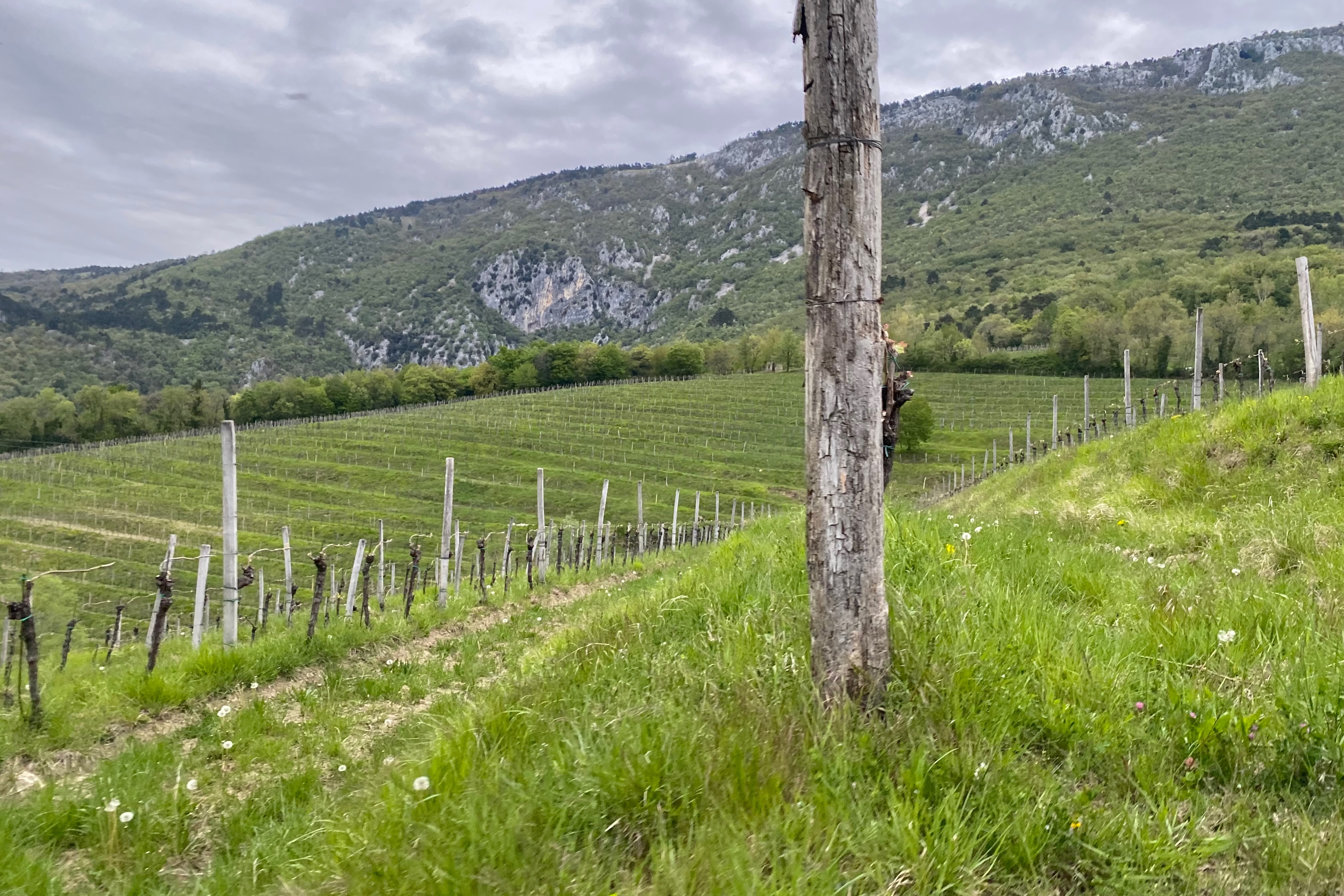 Vipava Valley