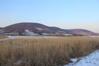 Driving towards Hatari