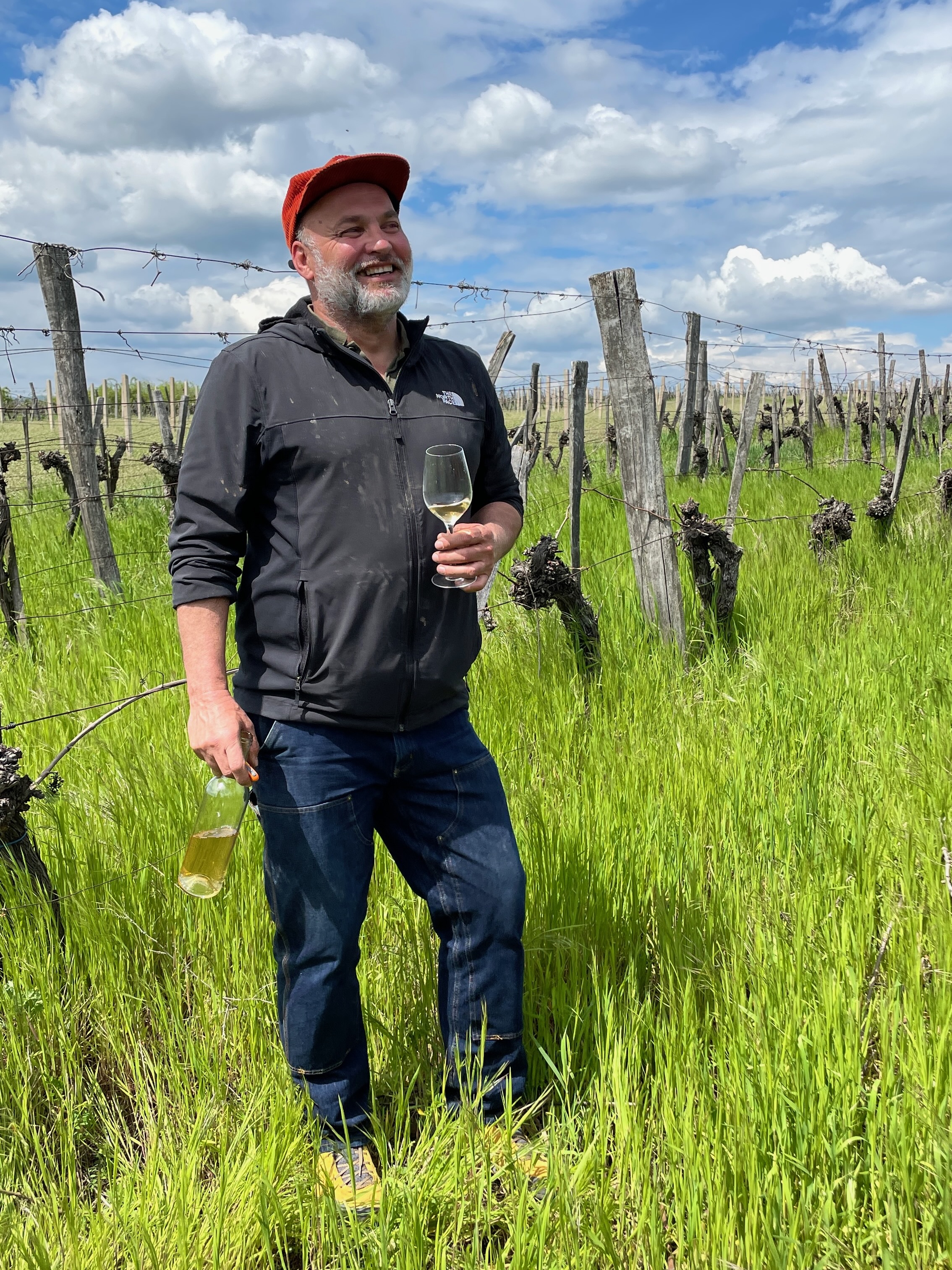 Norbi in the Pittyén vineyard