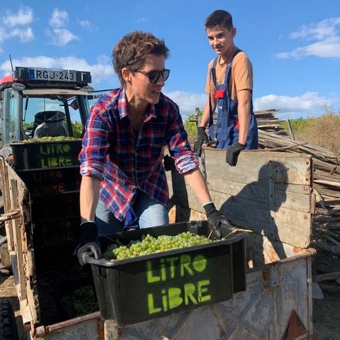 Domaine Bukk harvest