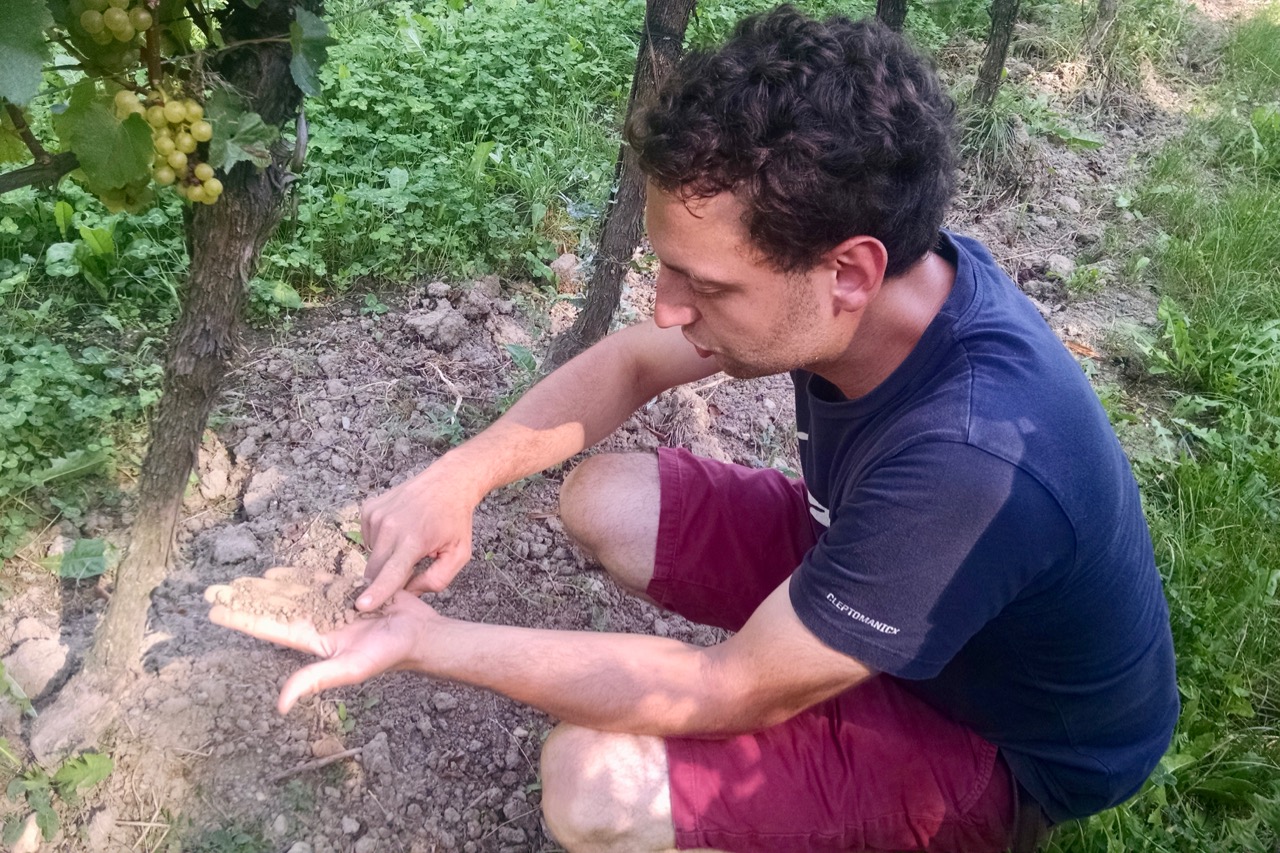 Josef Maier in the vineyard