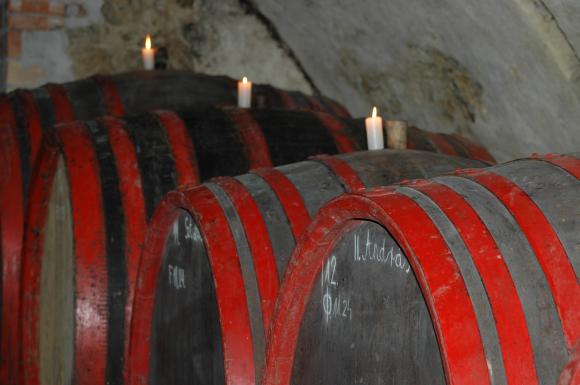 Kolonics cellar