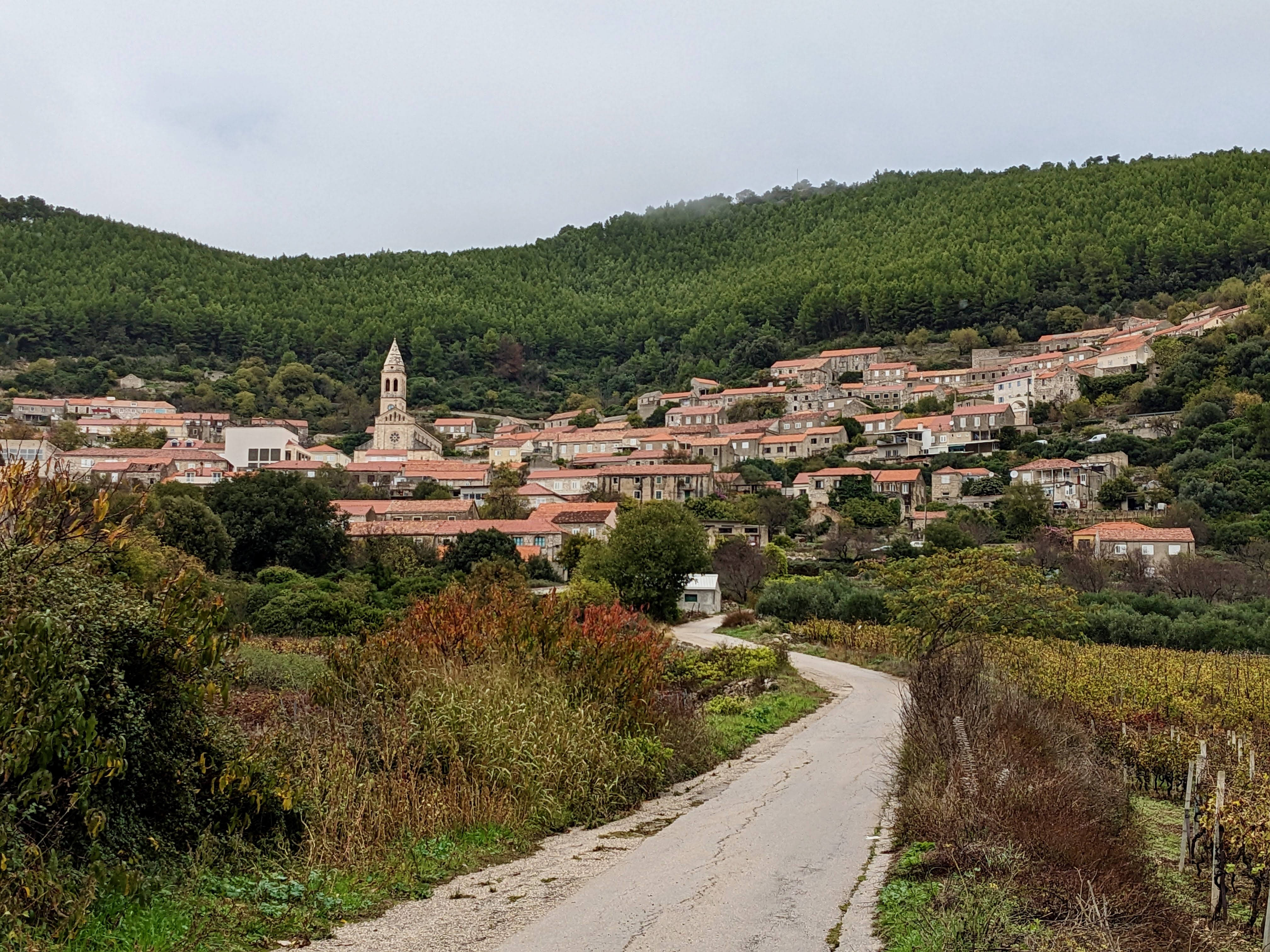 Smokvica