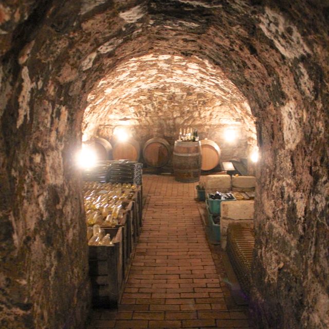 Cellar