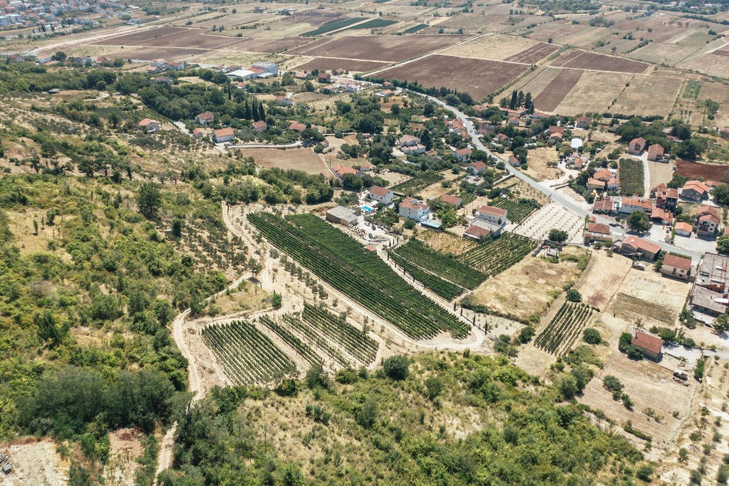 Vineyards