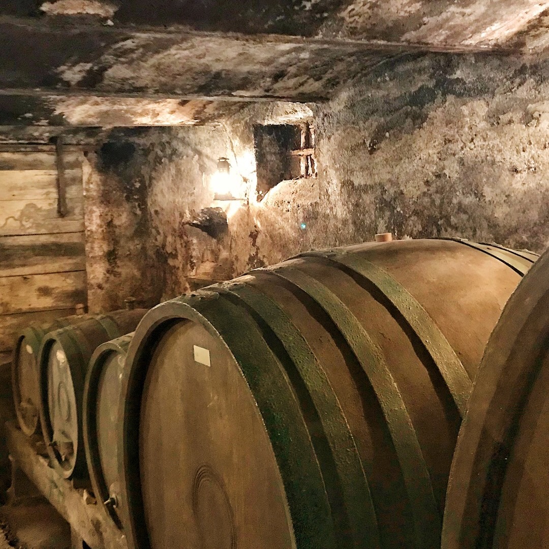 cellar