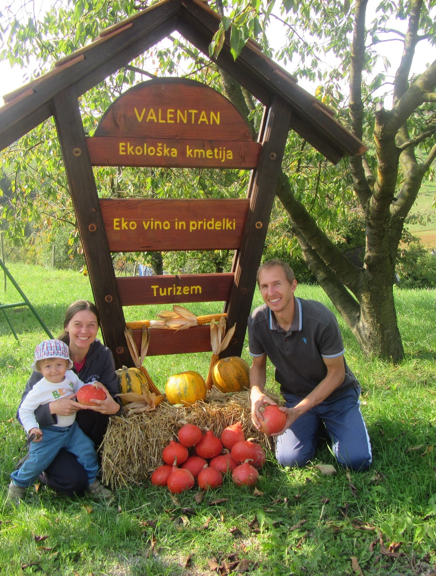 Pumkpin harvest at Valentan