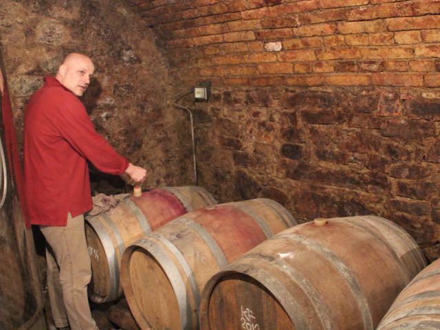 In the cellar
